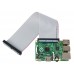 สาย GPIO Ribbon Cable for Raspberry Pi B+ / A+ / Pi 2 (40pin)