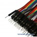 สาย Jumper Wire Male to Female 20cm 40pcs for Raspberry Pi